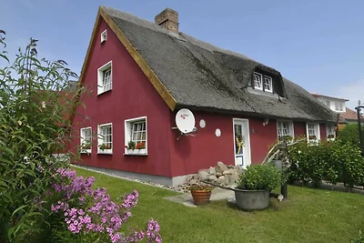 Fewo Nr. 03 (Erdgeschoss)