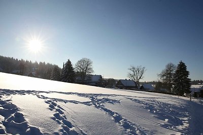 Appartamento Vacanza con famiglia Osterode