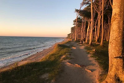 Appartamento Vacanza con famiglia Nienhagen