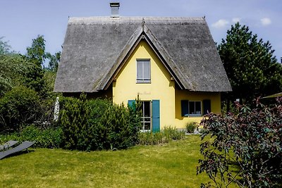 Ferienhaus Storch