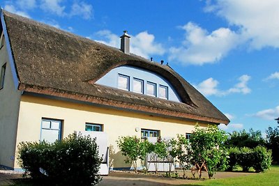 Appartement 5 mit Kamin und Terrasse Nixenhus