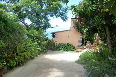 Apartment Rosa 1