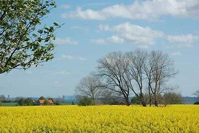 Appartamento Vacanza con famiglia Timmendorf