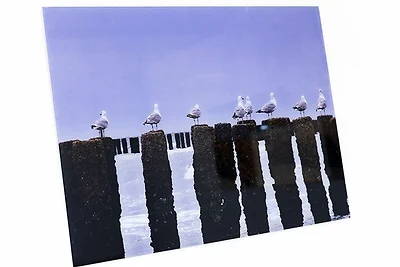 Ferienwohnung Strandläufer