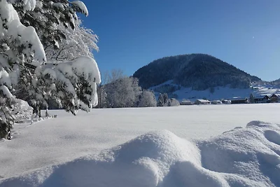 Vakantieappartement Gezinsvakantie Hittisau
