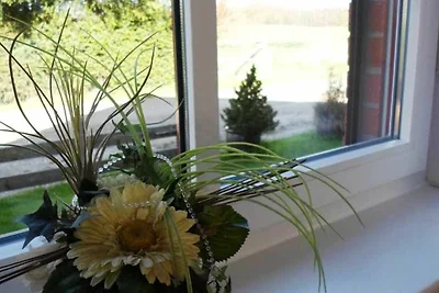Holiday home relaxing holiday Feldberger Seenlandschaft