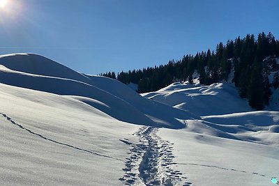 Appartamento Vacanza con famiglia Schoppernau