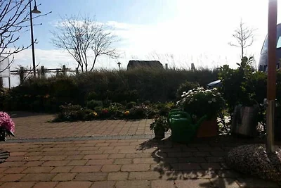 Ferienwohnung Austernfischer