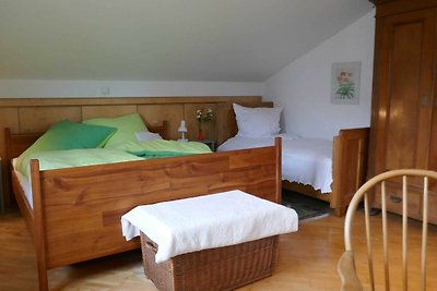 Vakantieappartement Gezinsvakantie Michelstadt