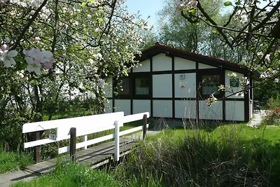 Albergo Cultura ed escursioni Hollern-Twielenfleth