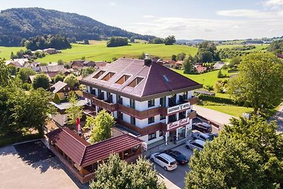 Hotel Cultuur en bezienswaardigheden Oberhofen am Irrsee