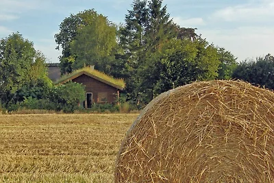 Ferienhaus Hof Dammhahl