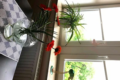 Ferienwohnung an der Elbfähre - für 2 - 3...