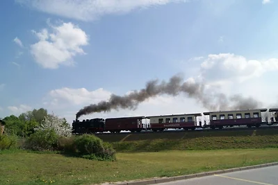 Möwennest