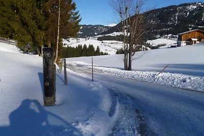 Appartamento Vacanza con famiglia Annaberg im Lammertal
