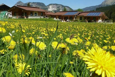 Albergo Cultura ed escursioni Mondsee