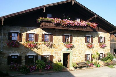 Vakantiehuis Ontspannende vakantie Weyregg am Attersee