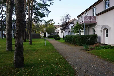 Albergo Cultura ed escursioni Dierhagen