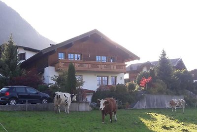 Holiday flat family holiday Reith im Alpbachtal