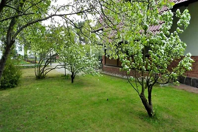 Vakantieappartement Gezinsvakantie Thiessow