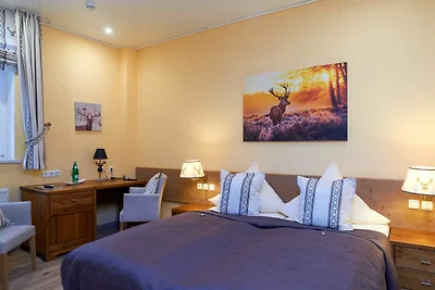Albergo Cultura ed escursioni Clausthal-Zellerfeld