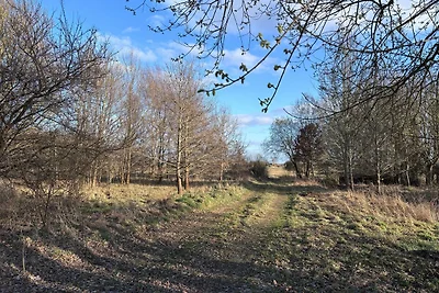 Ferienwohnung GreifZu