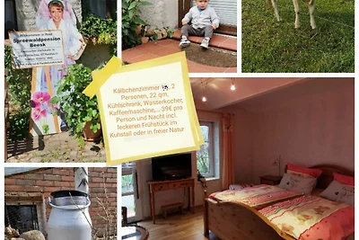 Appartamento Vacanza con famiglia Vetschau