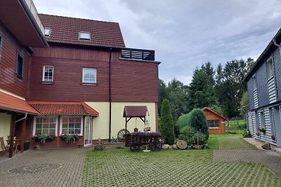 Hotel Cultuur en bezienswaardigheden Oberharz am Brocken