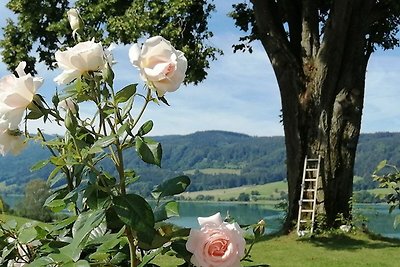 Vakantieappartement Gezinsvakantie Oberhofen am Irrsee