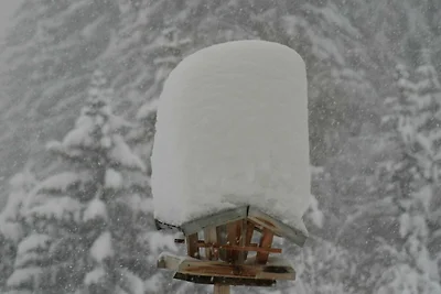 Vakantieappartement Gezinsvakantie St. Anton am Arlberg