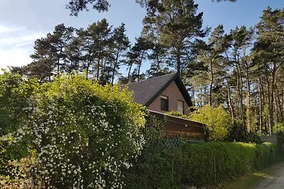 Vakantiehuis Ontspannende vakantie Lubmin
