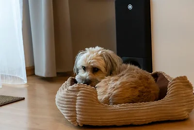 FeWo Harzer Wiesenberg