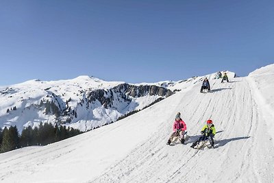 Vakantieappartement Gezinsvakantie Damüls