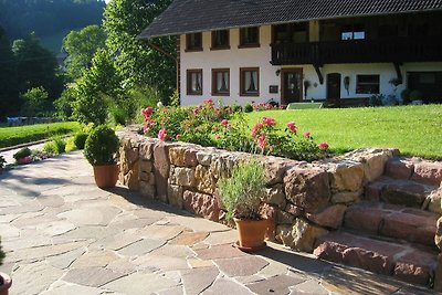 Vakantieappartement Gezinsvakantie Waldkirch