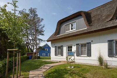 Doppelreetdachhaus Wellenläufer