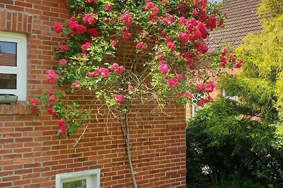 Ferienhaus, Dusche, WC, 3 Schlafräume