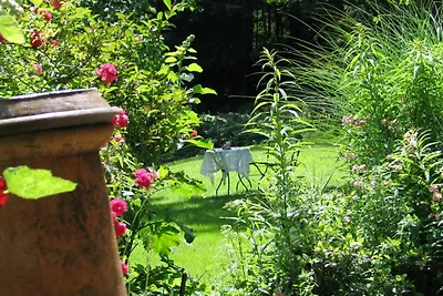 Vakantieappartement Gezinsvakantie Horben