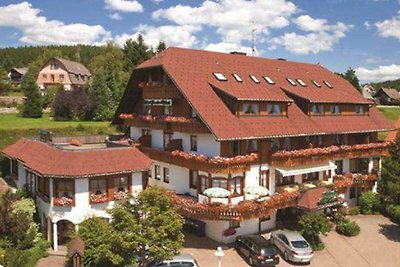 Hotel Cultuur en bezienswaardigheden Schluchsee
