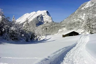 Appartamento Vacanza con famiglia Schoppernau