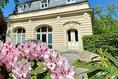 Hotel cultural and sightseeing holiday Heringsdorf