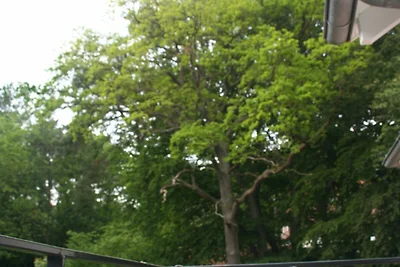 FeWo Am Strand A 2.22 Ref. 128682 u 2