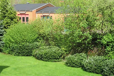 Appartement Vacances avec la famille Bad Harzburg