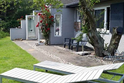 Feer Strunhüs Deelswai 49