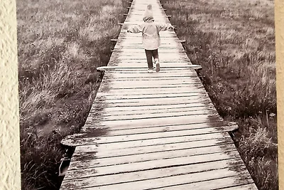 Haus Achtern Diek Whg 02