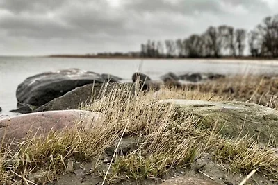 Vakantiehuis Ontspannende vakantie Mönkebude
