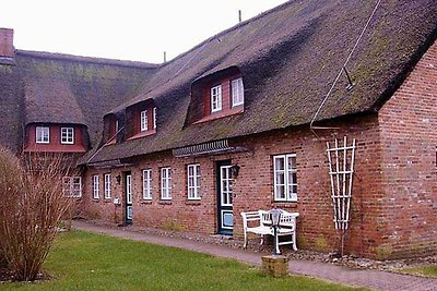 Laerchenshus Reetdachhaus Borgsum