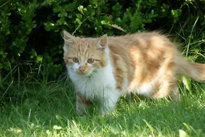 Ferienwohnung 4 für 2-3 Personen