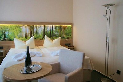 Hotel cultural and sightseeing holiday Friedrichsbrunn