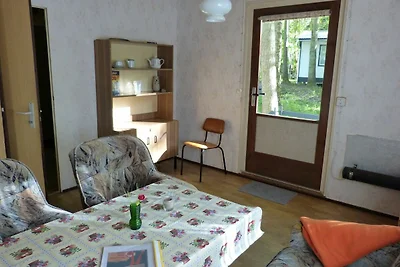 Albergo Cultura ed escursioni Dranske
