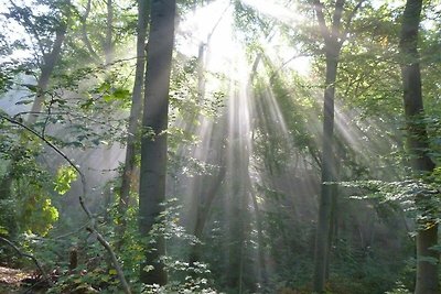 Vakantieappartement Gezinsvakantie Märkische Heide